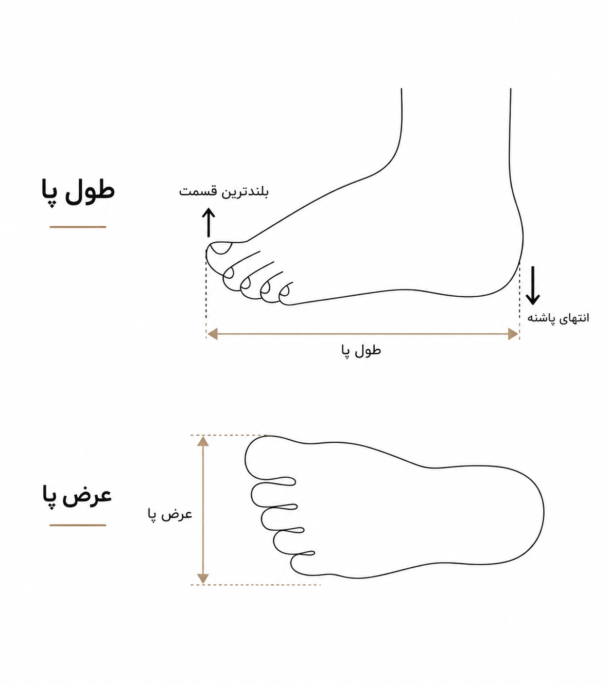 راهنمای انتخاب سایز پا و کفش